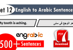 arabic to english sentence set 12
