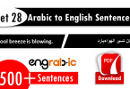 Formal English sentences in Arabic, Formal Arabic sentences with English. English to Arabic sentences with translation in HIndi