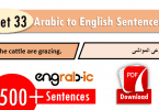 English sentences in Arabic which are used in Daily life. Daily use English sentences in school with translation in Arabic. Daily routine Arabic sentences