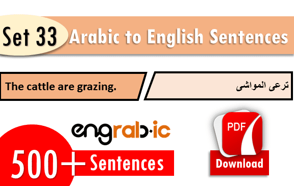 English sentences in Arabic which are used in Daily life. Daily use English sentences in school with translation in Arabic. Daily routine Arabic sentences