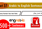 Easy Arabic Sentences In English. Easy Arabic Phrases with English Translation.Arabic translation in English. Arabic phrases in English.