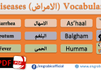 Diseases Vocabulary in Arabic for the learners. Vocabulary of Diseases in English with translation in Arabic and Roman Arabic with PDF