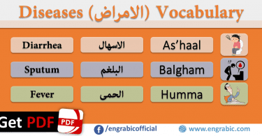 Diseases Vocabulary in Arabic for the learners. Vocabulary of Diseases in English with translation in Arabic and Roman Arabic with PDF