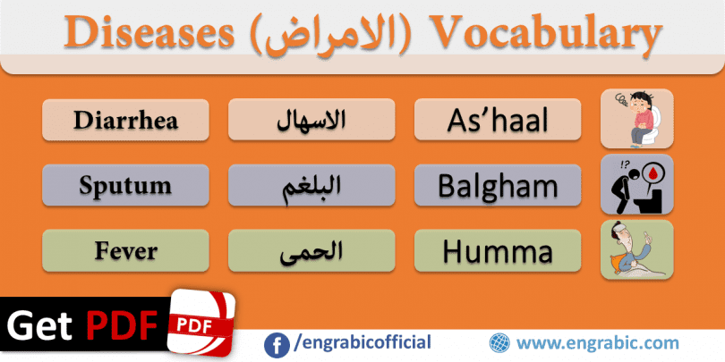 Diseases Vocabulary in Arabic for the learners. Vocabulary of Diseases in English with translation in Arabic and Roman Arabic with PDF