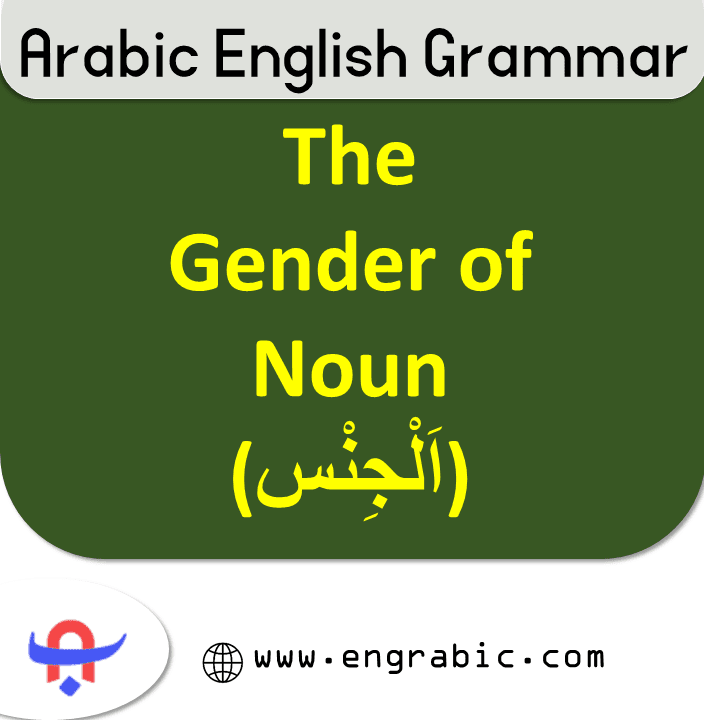 The Gender of Nouns in Arabic. Arabic Gender of Nouns. Arabic words are either masculine or feminine.  In Arabic, all the nouns have grammatical gender. Learn Arabic Grammar here. Learn all about the Gender of Nouns.