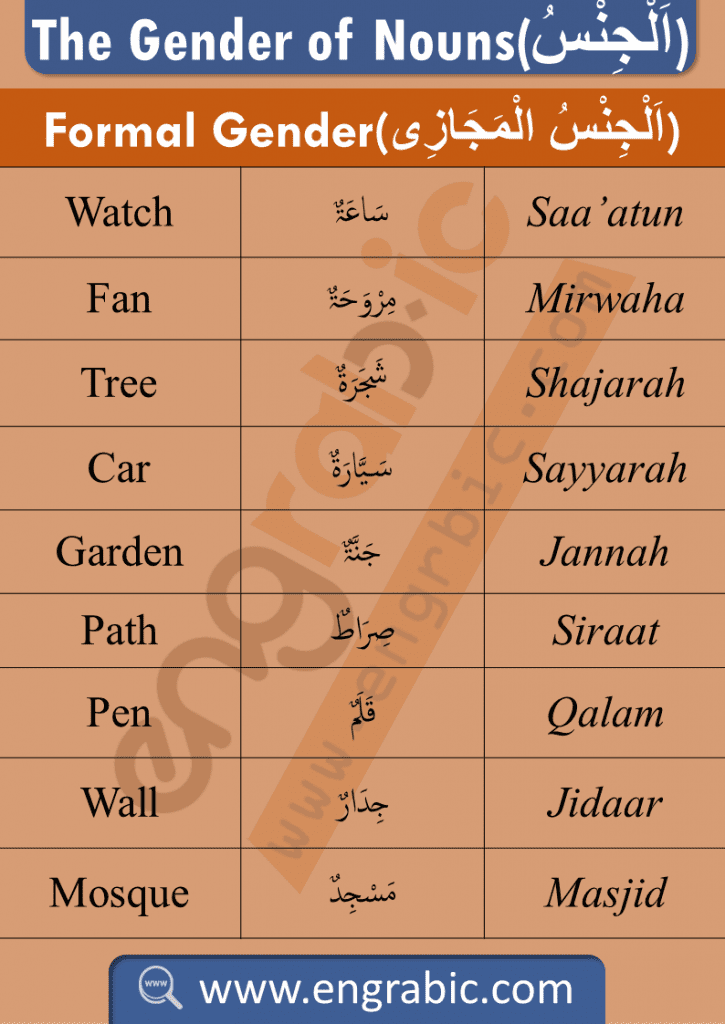 The Gender of Nouns in Arabic. Arabic Gender of Nouns. Arabic words are either masculine or feminine.  In Arabic, all the nouns have grammatical gender. Learn Arabic Grammar here. Learn all about the Gender of Nouns.