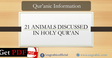 A list of 21 Animals Discussed in Holy Qur'an. Animals name in Arabic discussed in Holy Book Qur'an. Dog name/elephant name/lion name in Quran. There are more than 200 verses in Quran dealing with Animals and Six Chapters of Quran are named after Animals or insects. Animals and birds mentioned in Quran, creatures mentioned in Quran.