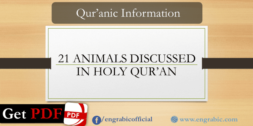 A list of 21 Animals Discussed in Holy Qur'an. Animals name in Arabic discussed in Holy Book Qur'an. Dog name/elephant name/lion name in Quran. There are more than 200 verses in Quran dealing with Animals and Six Chapters of Quran are named after Animals or insects. Animals and birds mentioned in Quran, creatures mentioned in Quran.