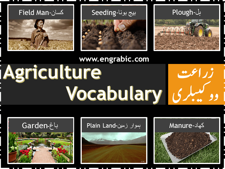 Agriculture and Farming Vocabulary. Agriculture and Farming Vocabulary Words in English and Urdu. List of tools and appliances used in Agriculture with Pronunciation. A vocabulary List Featuring Agriculture tools and Appliances.  Here is a top list 300 English Vocabulary Items for Farming and Agriculture