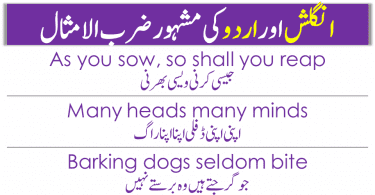 This is a list of popular English Urdu Proverbs. Proverbs are also known as Sayings. Proverbs give some of the life advice. Every language and culture has them, so does English and Urdu. A proverb (from Latin: proverbium) is a simple, concrete, traditional saying that expresses a perceived truth based on common sense or experience. The following examples of proverbs help you to understand what a proverb is and what role it plays in society. 500 most Common English Urdu Proverbs are there in the list.