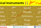 A musical instrument is a device created or adapted to make musical sounds. In principle, any object that produces sound can be considered a musical instrument. This is a list of musical instruments, including percussion, wind, stringed, and electronic instruments. Everyone loves music but have different ways to enjoy it. Either listening to the song, humming the tunes or playing the instruments. 
