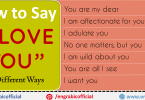 Ways to Say I Love You. In many ways you can express your love and affection to your lover. 50 Other ways to say I LOVE YOU. Here are the 100 most effective and beautiful ways to say I LOVE YOU to the lover.