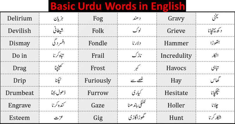 Learn 1000 Basic English Urdu Words here. Find Urdu Words in our Urdu to English Dictionary. English to Urdu Dictionary, English to Urdu Words in our online FREE dictionary. Find Definitions, synonyms, forms of verbs and sentences. This is the list of 1000 Core English Words and Urdu Words With their meaning in Urdu and English. It contains the most important and most frequently used English and Urdu words which we use in our daily life
