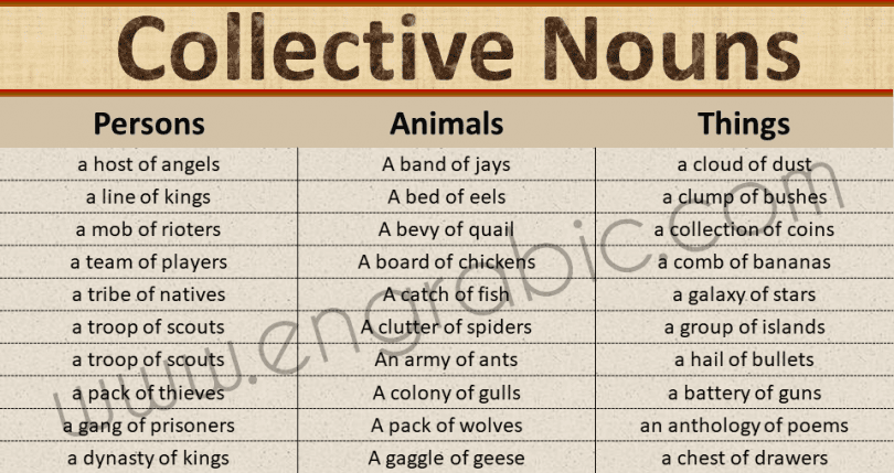Collective Nouns are used to describe a group of persons, animals, or thing. This article helps you learn detailed list of collective nouns with PDF lesson. The table below shows a long list of collective nouns used in English. 
