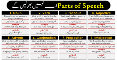There are eight parts of speech in the English language: noun, pronoun, verb, adjective, adverb, preposition, conjunction, and interjection. The part of speech indicates how the word functions in meaning as well as grammatically within the sentence. An individual word can function as more than one part of speech when used in different circumstances. Understanding parts of speech is essential for determining the correct definition of a word when using the dictionary.