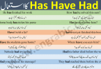 "Had" is the past tense of these two verbs. In the present tense, "have" is used for I, you, we, and they and all plural nouns. "Has" is used for he, she, and it, and for all singular nouns. ... In the past tense, "had" is used for everything.