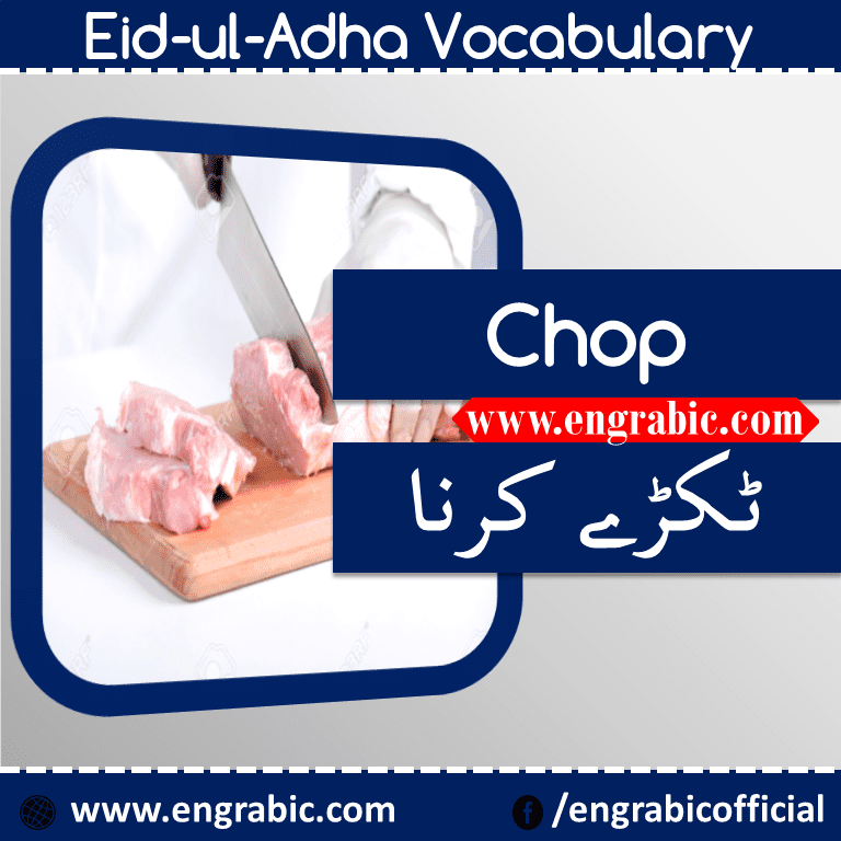 Here are the most important and commonly used English to Urdu Vocabulary Words on Eid ul Adha. In this lesson, we are gonna learn 20 vocabulary words that we often use on this Holy Day. Here is the list of Vocabulary Words