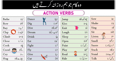An action verb is that verbs which is used to describe a physical or mental action taken by anyone. Action verb actually tells us what the subject of our clause or sentence is doing-physically or mentally. For example, walk, run, think, smell, etc.
