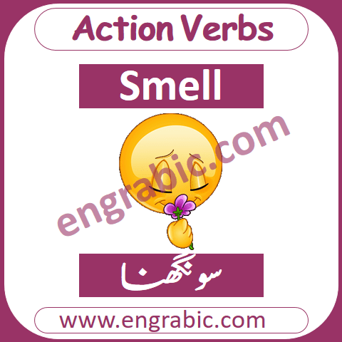 An action verb is that verbs which is used to describe a physical or mental action taken by anyone. Action verb actually tells us what the subject of our clause or sentence is doing-physically or mentally. For example, walk, run, think, smell, etc. 