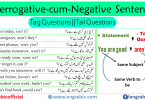 Tag Question is the grammatical structure in which a simple(declarative or imperative) statement is changed into a question by adding an interrogative fragment at the end of statement. For example, in the sentence, "You are good, aren't you?", the statement "You are good" is changed into a question by the addition of "Aren't you?". 