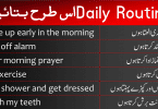 In this lesson, you will learn how to tell your daily routine in English. This lesson is translated into Urdu and Hindi as well for the beginners. Beginners can use this these sentences to tell their daily routine. These sentences will make you able to easily tell your daily routine in English with Urdu and Hindi translation.