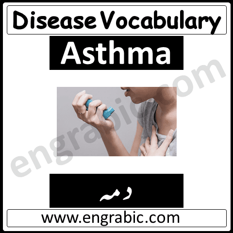 List of diseases in humans in English with Urdu Translations. Name of Diseases in Humans in English,  Learn basic English Vocabulary of Name of Diseases in Humans through  images. Name of Diseases in Humans with images in English. List of Diseases and their Meaning in Urdu/Hindi. English vocabulary in Urdu with PDF. Daily use vocabulary with Urdu meanings. Diseases names in Urdu/Hindi Translation.