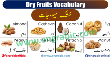 Learn Dry Fruits names in English and Urdu with images. Dry Fruits vocabulary is necessary to learn in Winter. Here we are with all the dry fruits used in winter