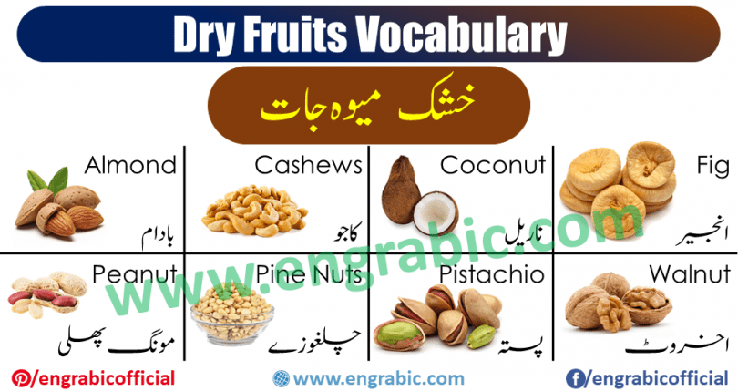 Learn Dry Fruits names in English and Urdu with images. Dry Fruits vocabulary is necessary to learn in Winter. Here we are with all the dry fruits used in winter