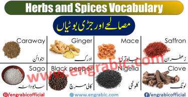 Herbs and Spices Vocabulary with images and Flashcards, this lesson helpful for student and learner to improve their Herbs and Spices vocabulary in English. Spices names! Spices such as salt, pepper, turmeric, onions, garlic, ginger, black peppers, cumin, etc., which are used in cooking.