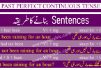 Past Perfect Continuous Tense is used to describe those actions that begin in Past and are still progressing. It cannot be confused with Past Continuous and Past Perfect tense, because in those tenses, actions begin and progress for sometime in Pat Continuous Tense. While in Past Perfect Tense, actions begin and get completed. So, in Past Perfect Continuous Tense, we talk about the actions begin in Past, but those actions get completed and are still in progress.