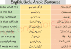 Arabic Sentences in English and Urdu for beginners. Learn Arabic through English and Urdu using these sentences. Learn Arabic through English and Urdu.