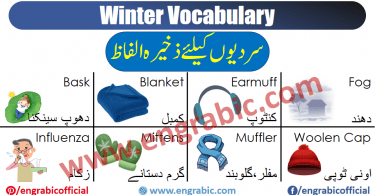 Vocabulary words used in winter. Winter Vocabulary list in English and Urdu. You can download PDF Book also. 