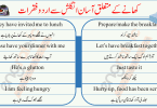 Daily routine English to Urdu sentences about meals. Sentences about Meals in English and Urdu. These sentences can be used about meals.
