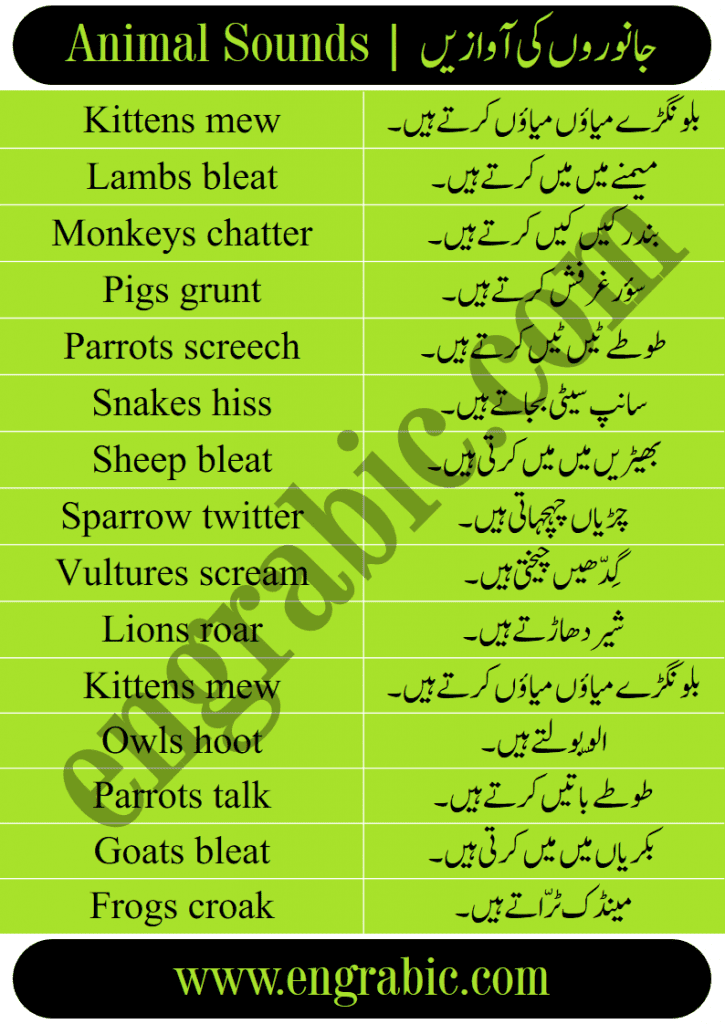 Animal Sounds | Animal Sounds List in English with Urdu Meanings