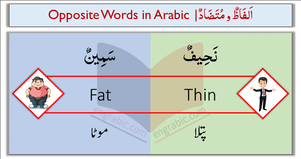 In this lesson, you will learn 50 New Opposite Words in Arabic with English and Urdu meanings for Kids. These opposite words are very helpful for you and very easy to learn. Opposite words are also explained with Pictures to help kids learn and understand better.