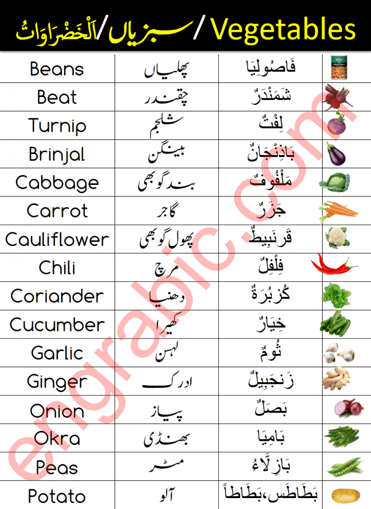 In this lesson, you will learn the names of Vegetables in Arabic with their translation in English and Urdu languages. You will be able to learn the names of vegetables in Arabic with their pronunciation as well.