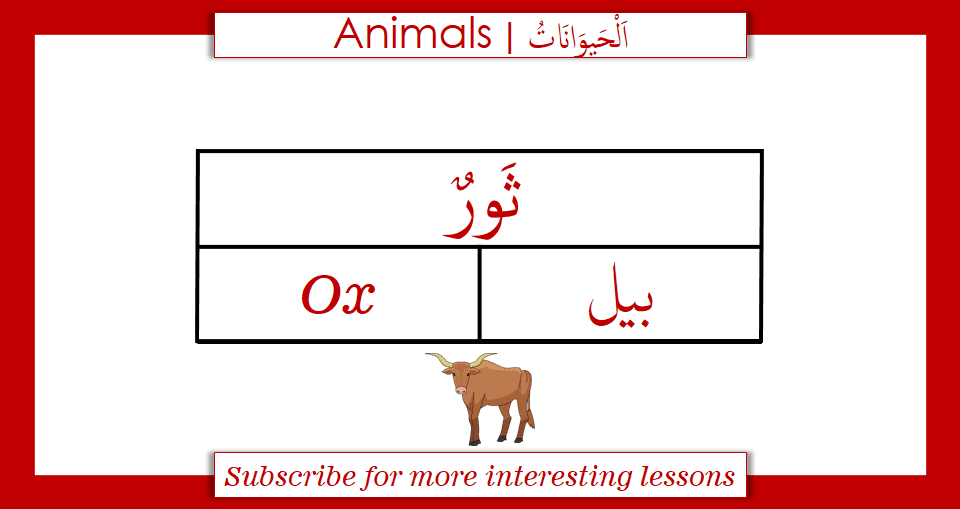 Wild Animals in Arabic with English and Urdu Translation. Learn the useful list of over 30 popular wild animals with their names. For many animals, particularly domesticated ones, there are specific names for males, females, young, and groups. Learning the names of the animals can be quite beneficial for young children. This video will help your children learn the names in Arabic with English and Urdu.