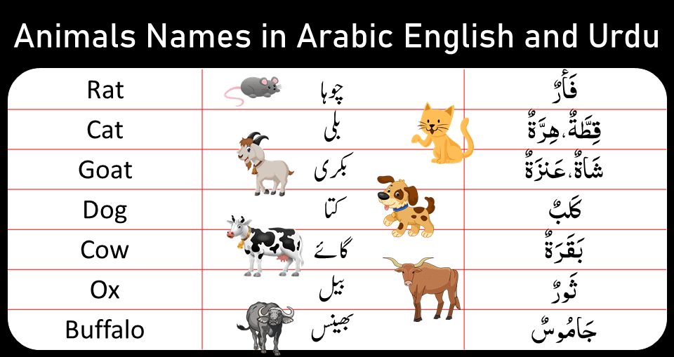 Animals Names in Arabic English and Urdu | Animals Names for Kids -