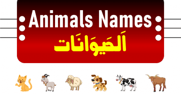 Learn the useful list of over 30 popular wild animals with their names. For many animals, particularly domesticated ones, there are specific names for males, females, young, and groups. Learning the names of the animals can be quite beneficial for young children. This video will help your children learn the names in Arabic with English and Urdu.