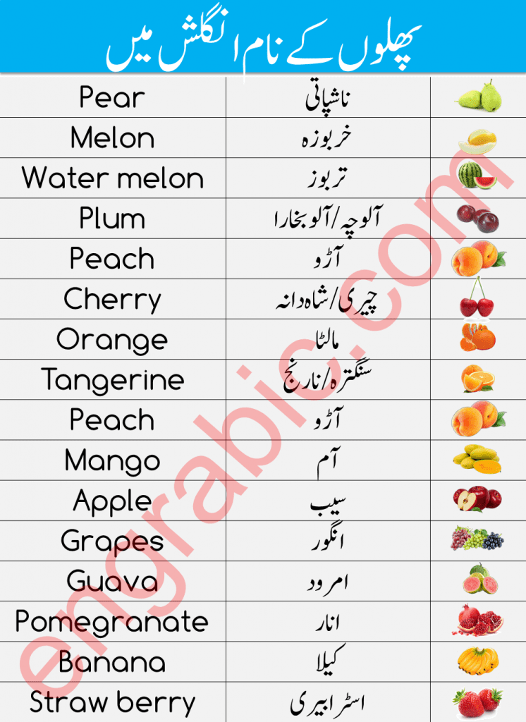 Learn fruit names in English and Urdu with Pronunciation. Fruits names vocabulary with pictures is important to learn especially for kids as well as for those who are keen to improve their vocabulary skills.