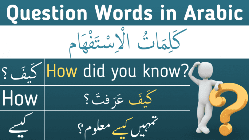 Learn all the Question Words that you need to ask in your daily life. Learn Question Words in Arabic with English and Urdu translation. How to use all the question words in sentences with English and Urdu translation.