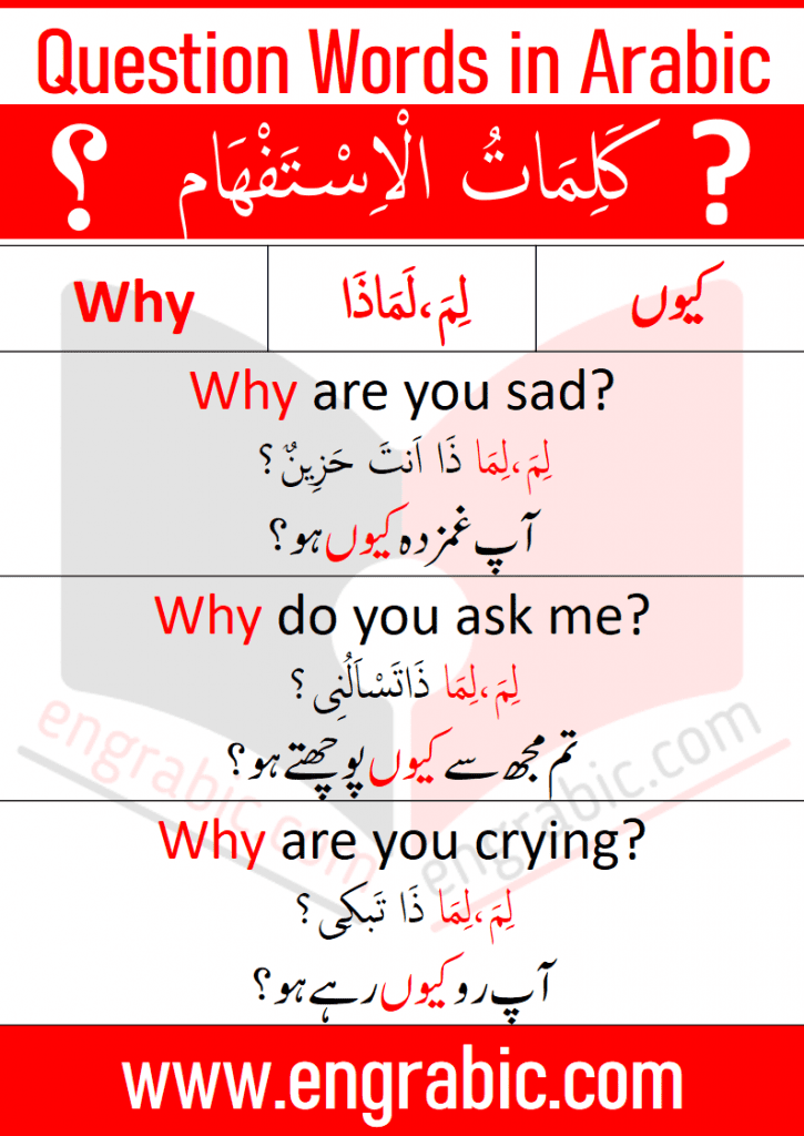 Learn all the Question Words that you need to ask in your daily life. Learn Question Words in Arabic with English and Urdu translation. How to use all the question words in sentences with English and Urdu translation.