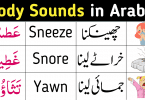 In this lesson, we will talk about different body sounds and noises. Our body emits different kinds of Sounds and Noises in different situations. So in this lecture, we’ll try to learn all these sounds and noises in Arabic, English and Urdu. Download PDF Lesson at the bottom of page.