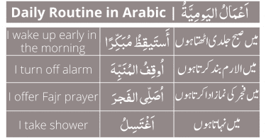 In this lesson, you will learn how to tell your daily routine in Arabic. This lesson is translated into English, Urdu and Hindi as well for the beginners. Beginners can use this these sentences to tell their daily routine. These sentences will make you able to easily tell your daily routine in Arabic with English, Urdu and Hindi translation.