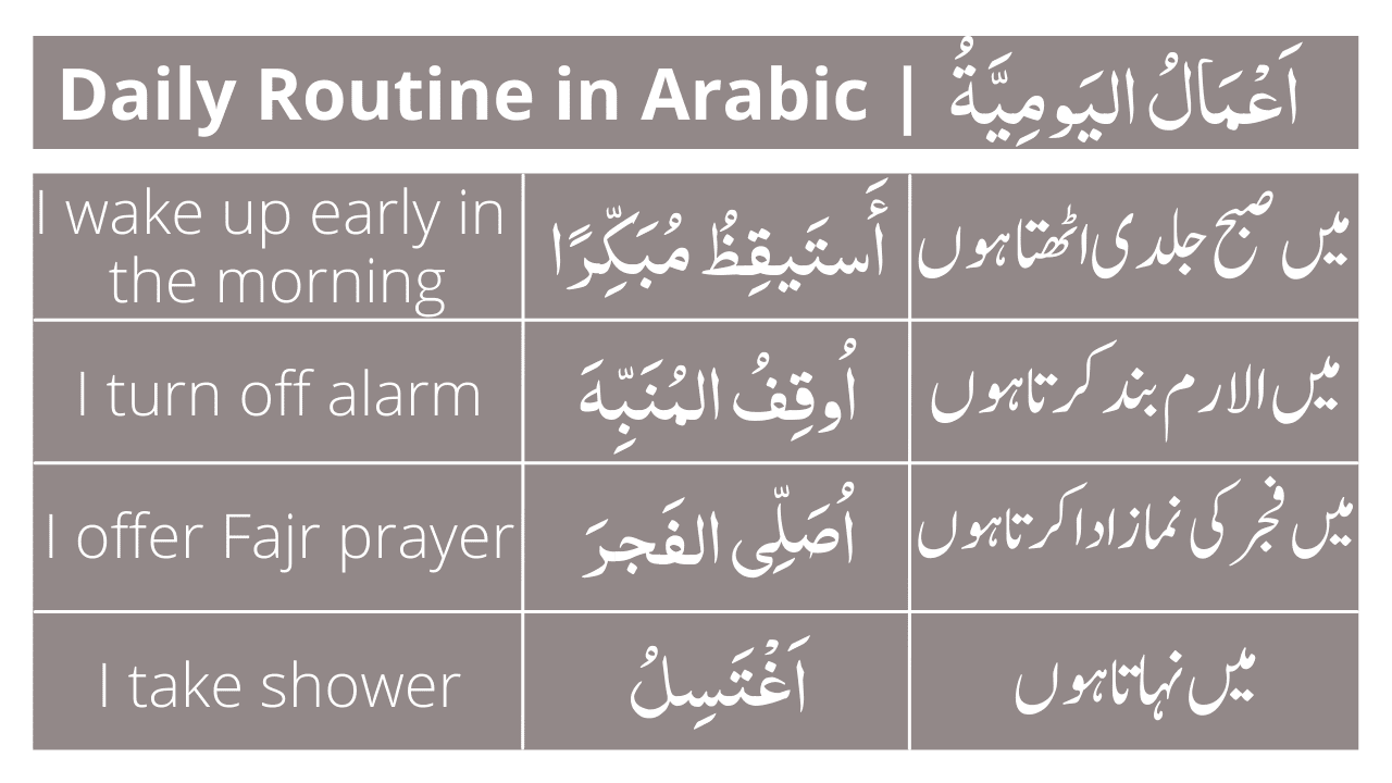 my daily routine essay in arabic