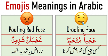 Emojis Meanings in Arabic, Urdu and English for WhatsApp , Facebook and Other Social Media. Learn important Emojis meanings and their uses with Urdu/Hindi explanation.