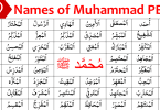 The Prophet Muhammad, peace be upon him, is revered as the final messenger of Allah in Islam. Among the many aspects that make him beloved to Muslims worldwide are his numerous names, which encapsulate his virtues, qualities, and roles. In this blog post, we will explore the 99 Names of Muhammad, providing their English meanings and presenting the names in Arabic text. Join us on this enlightening journey as we delve into the beautiful attributes of the Prophet.