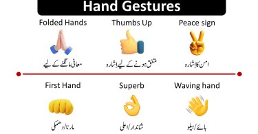 This lesson will cover Hand Gestures In English with Urdu Translation. Urdu Signs & Hand Gestures with Meanings English and Urdu hand symbols for Facebook and WhatsApp The majority of people are unaware of the true meanings of the emoji’s we use in our Facebook and WhatsApp conversations.