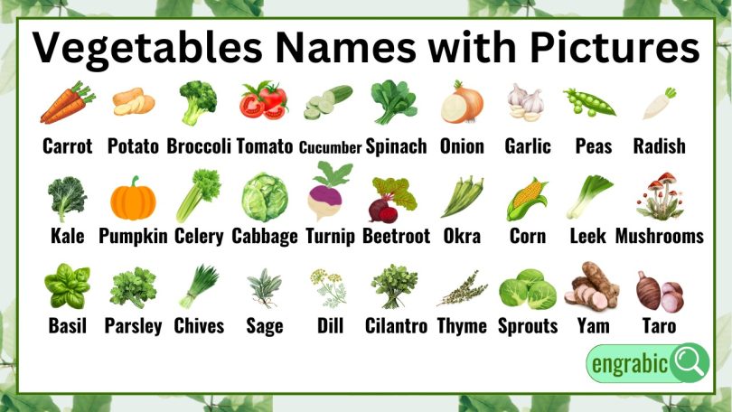 Simple vegetables names list with clear visual examples"