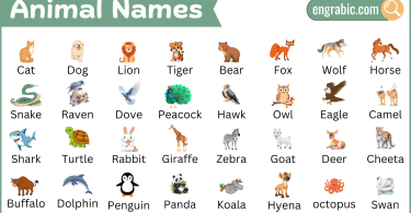 60 common animal names chart for vocabulary building in young learners